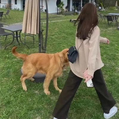 痴情男子汉